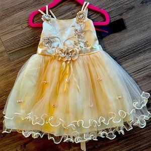 Girls beautiful party dress